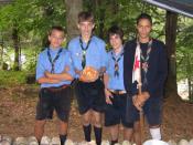 piatto indescrivibile squali.jpg